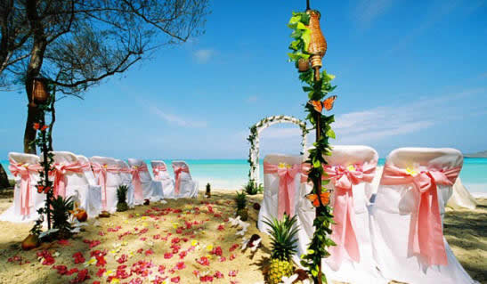 beach side ceremony setup in Hawaii with light pink sashes and pineapples with tiki torches and butterflies